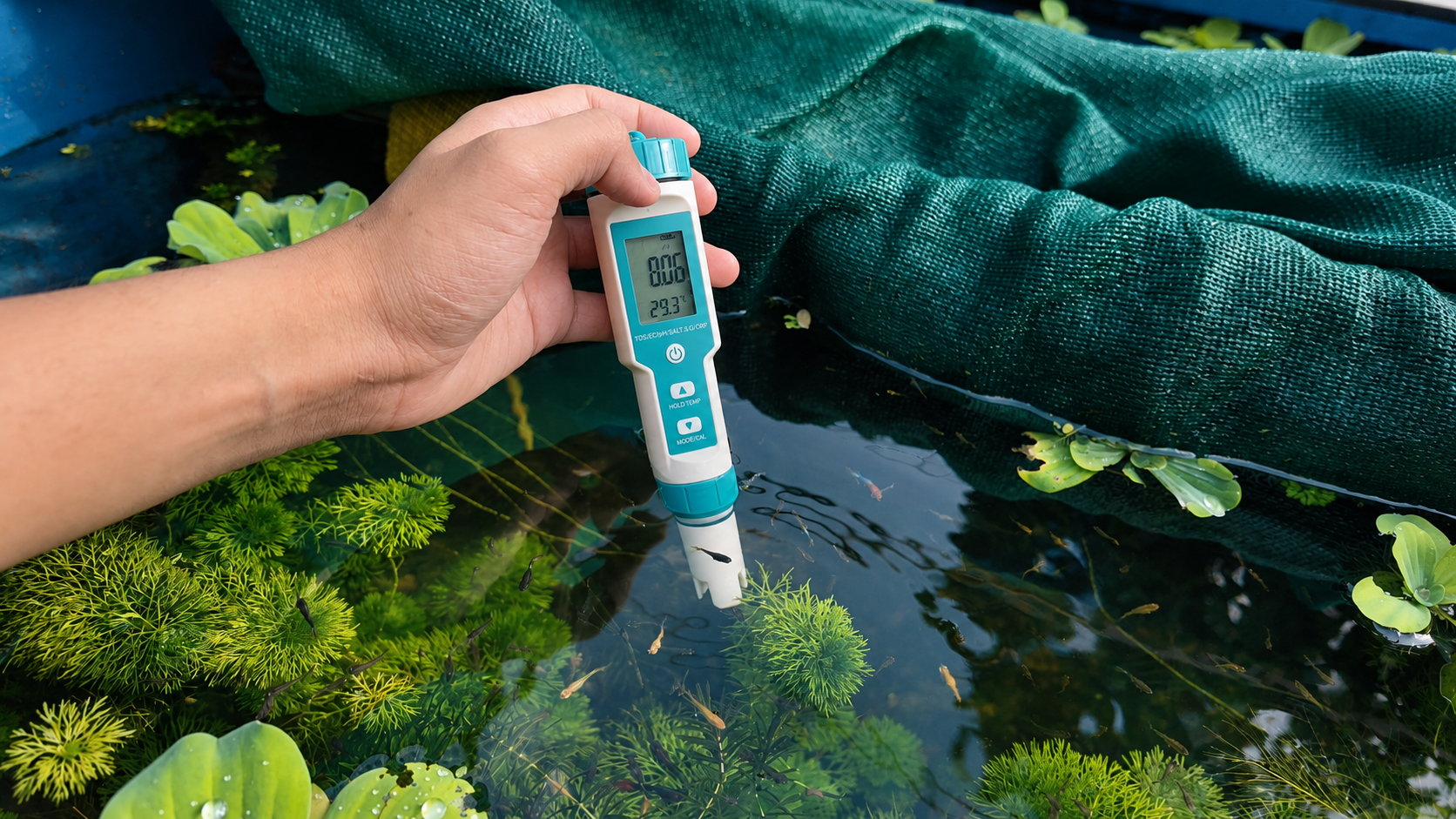 Testing aquarium water