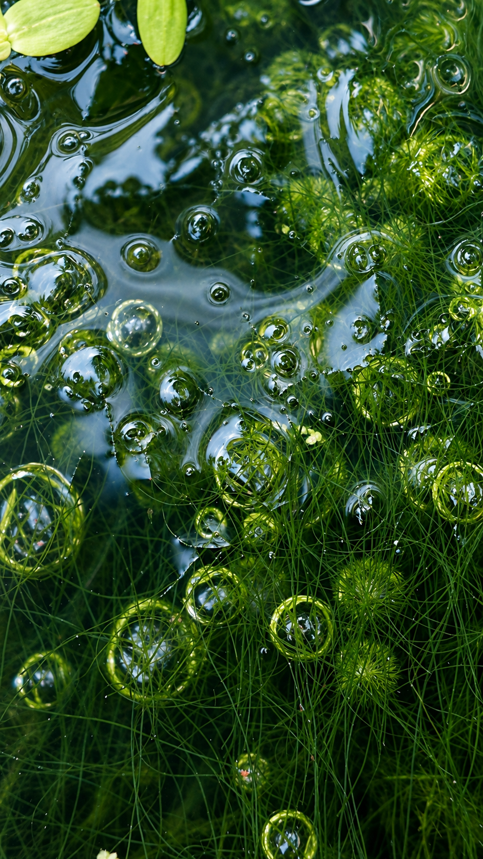 Water heals